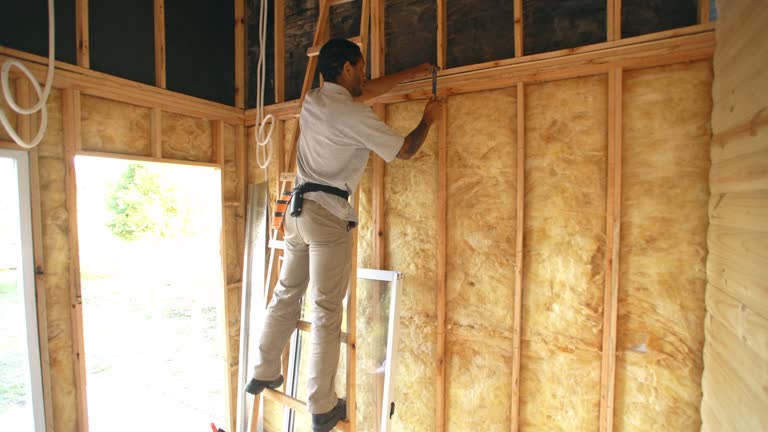 Best Insulation for Existing Homes  in Central City, KY